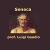 Una protesta sbagliata per Seneca. De brevitate vitae, I, 2