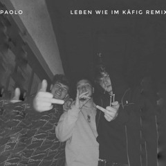 Leben Wie Im Käfig Remix
