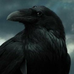 Stream Sypherous Raven music | Listen to songs, albums
