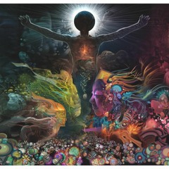 Mr Beesa. Psychedelic experience Vol.4
