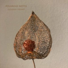 Polaroid Notes - Golden Heart