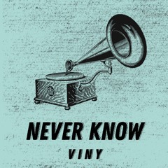 Viny - Never Know (Prod. Rogeay)