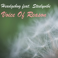 Voice Of Reason (feat. Steelyvibe)