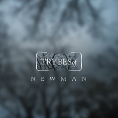 Newman - After The Storm