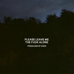 ever - PLEASE LEAVE ME THE FUCK ALONE (prod. ever)