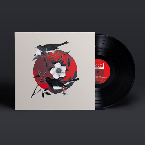 B. Roger Gerressen – Faithful (Varhat remix)[IRENICXXXR]