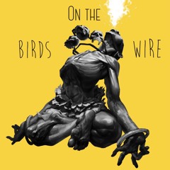 Birds on the wire