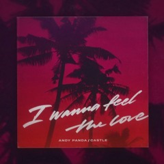 Andy Panda, Castle - I Wanna Feel The Love
