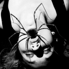 Psychedelic Bugs - Llanpsych And ♤