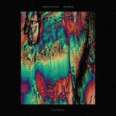 PREMIERE : Darlyn Vlys - Runner (Third Son Vocoder Mix)