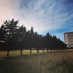 Uncharacteristically Trite