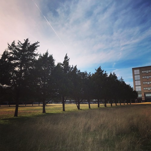 Uncharacteristically Trite