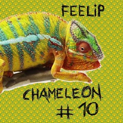 chameleon #10 -  Feelip - Winds of the Strait