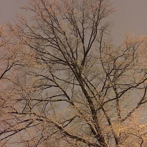 My grave (prod. TREETIME)