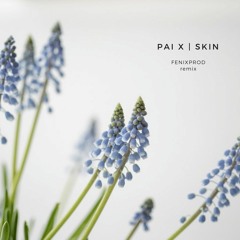PAI X - Skin (Fenxprod Remix)