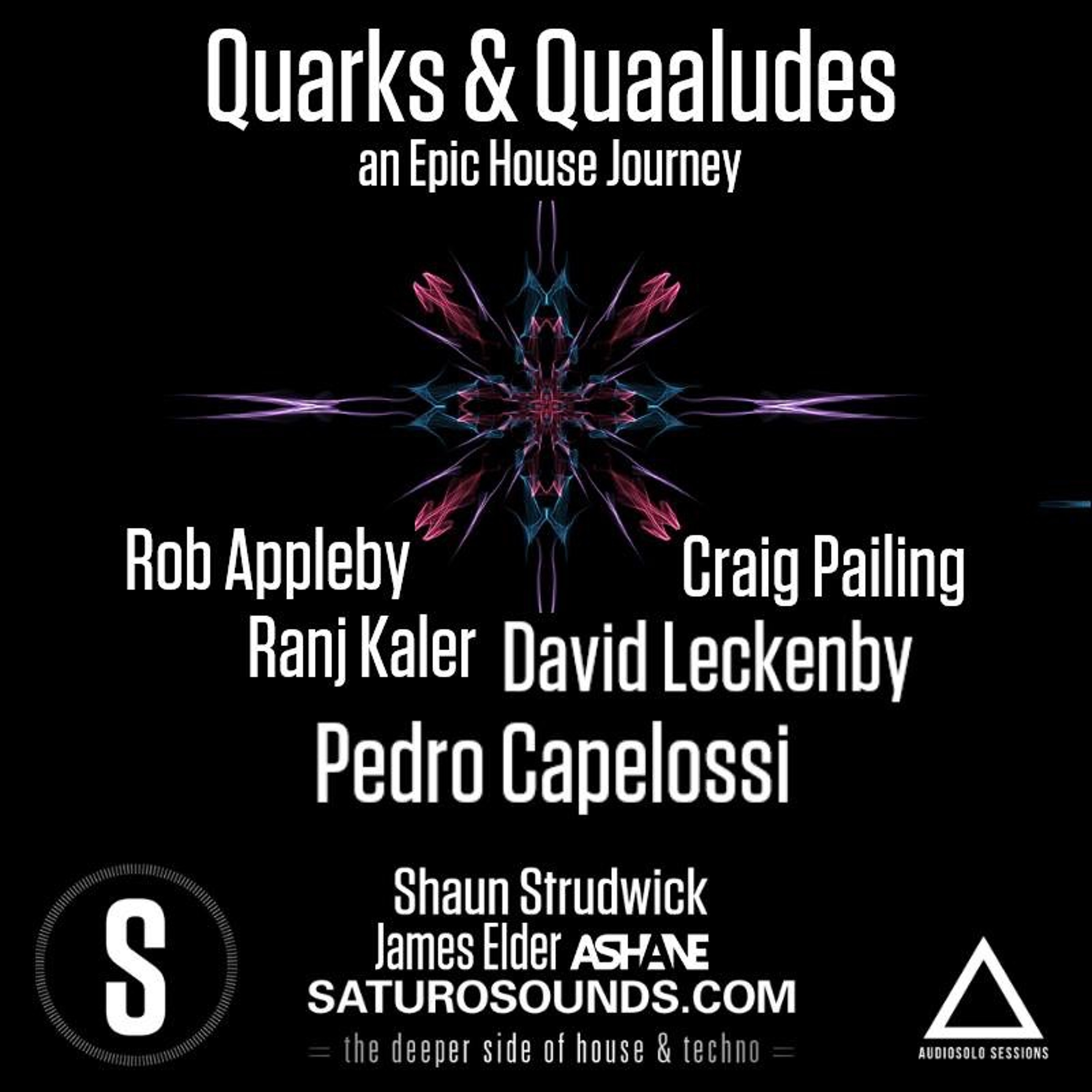 Quarks & Quaaludes #EpicHouseJourney