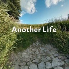 Another Life