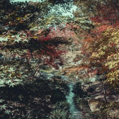Rares Romanov, Asenn - Dreaming Peace (Cut)