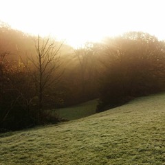 Daybreak