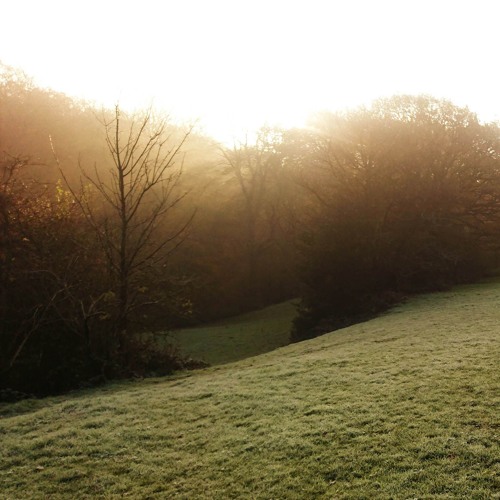 Daybreak