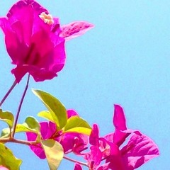 نجاة الصغيرة ــ سارقين النوم(حفلة).