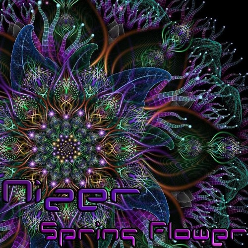 Spring Flower
