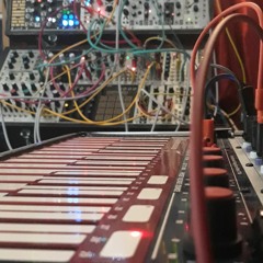 The Whales of Haumea