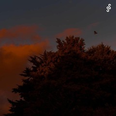 SMTH SNDS 059