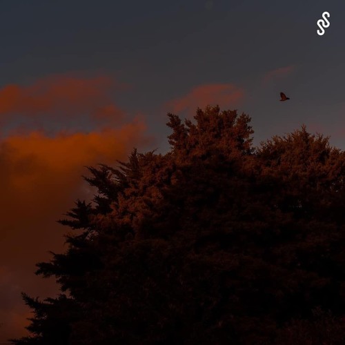 SMTH SNDS 059