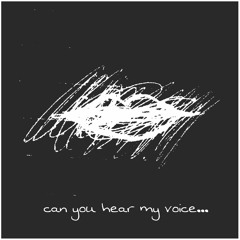 Hvint Blv x Zaini - Can You Hear My Voice
