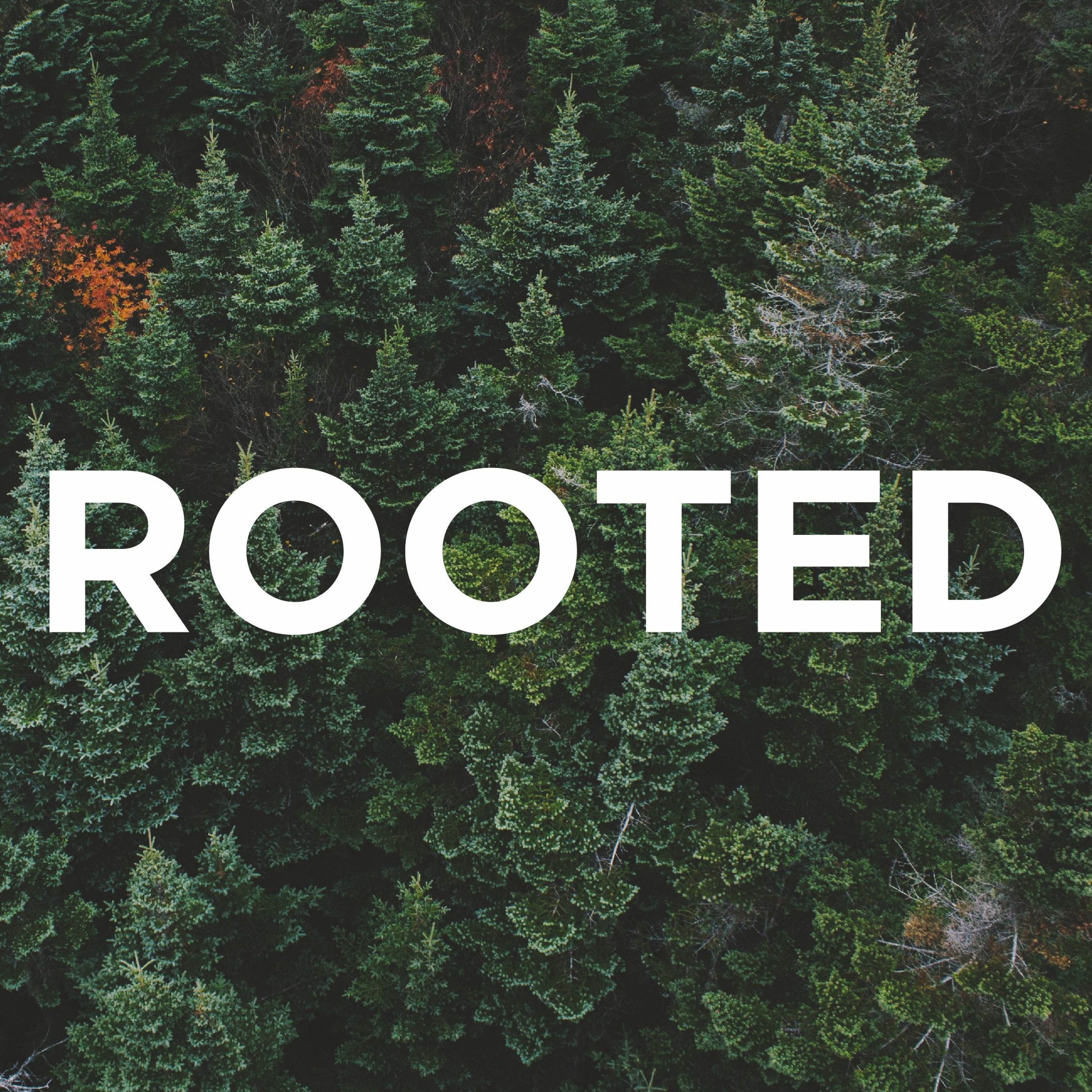 3-24-2019 - Rooted - Why and How Should I Tell Others?