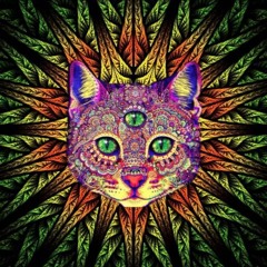 Trance / Psytrance