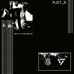 Oktiv x Teramite - PJCT_3