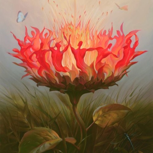 True Identity - Beats of Wisdom 004 Spring in our Hearts (Ecstatic Dance Mix)