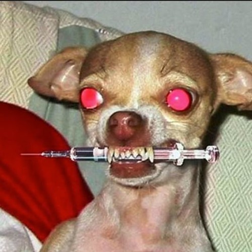 The Inevitable Reality That Greets Us in the Waiting Room prod. by 𝕷𝖚𝖘𝖙$𝖎𝖈𝖐𝕻𝖚𝖕𝖕𝖞