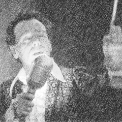 Underground House Project 010