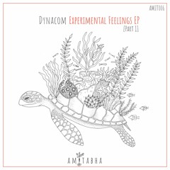 02 Dynacom - Sunshine State (Original Mix) [AMITABHA]