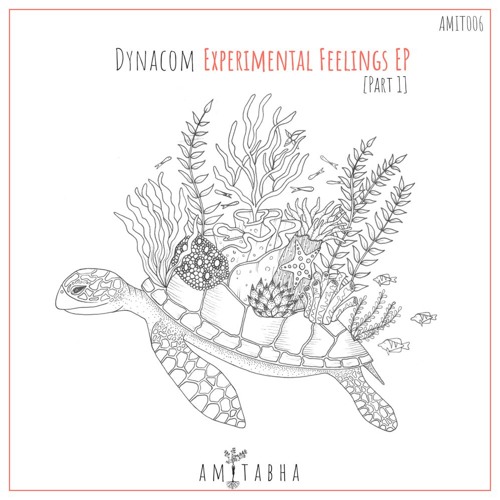 02 Dynacom - Sunshine State (Original Mix) [AMITABHA]