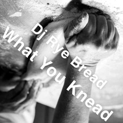 Naked Truth (Dj Rye Bread)