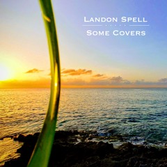 I'll Be With You - Black Lips (Cover)