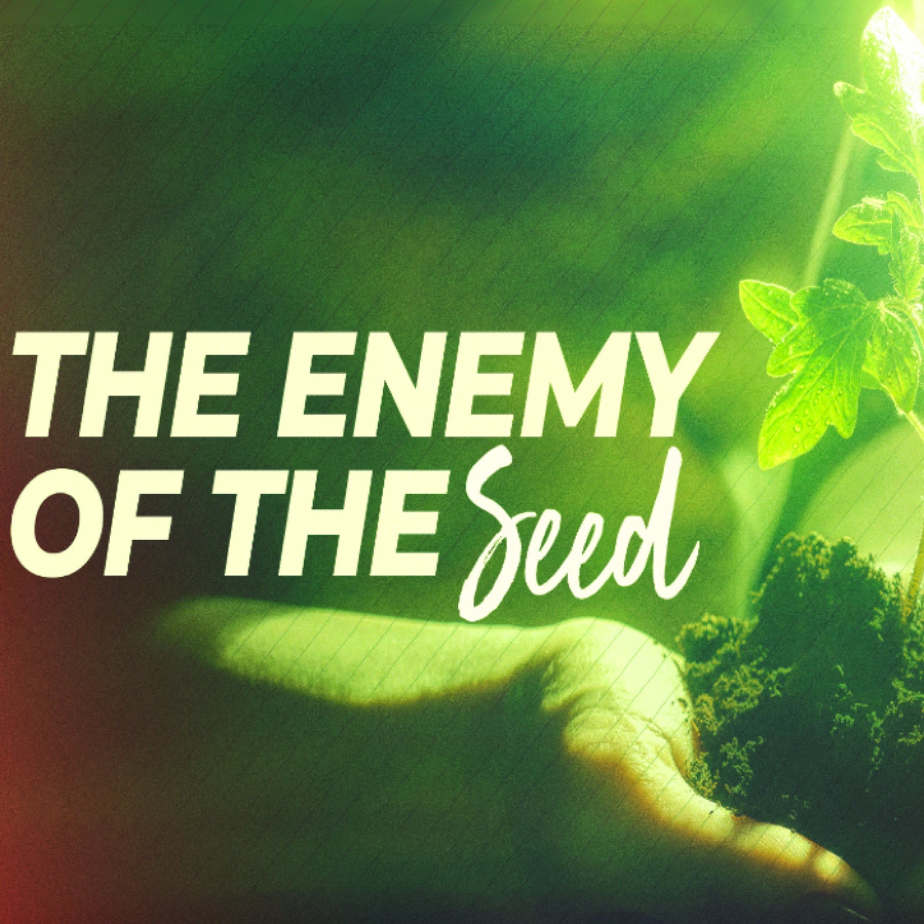3 - 24 - 19  The Enemy Of The Seed episode artwork