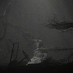 Ｄ ｒ ｏ ｗ ｎ ｅ ｄ．