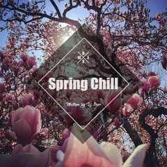 Spring Chill | Relax Chillout Mixtape by Dj Sner