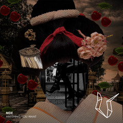 MDE feat. Delta Lady - Anything You Want