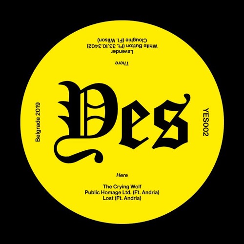 Stevie Whisper - Public Homage Limited (ft. Andria) [YES]