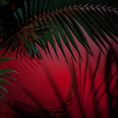 Shimmering Moods @ Red Light Radio feat. Aleks 14.3.2019