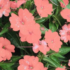 please don't leave me (prod. Zeeky)