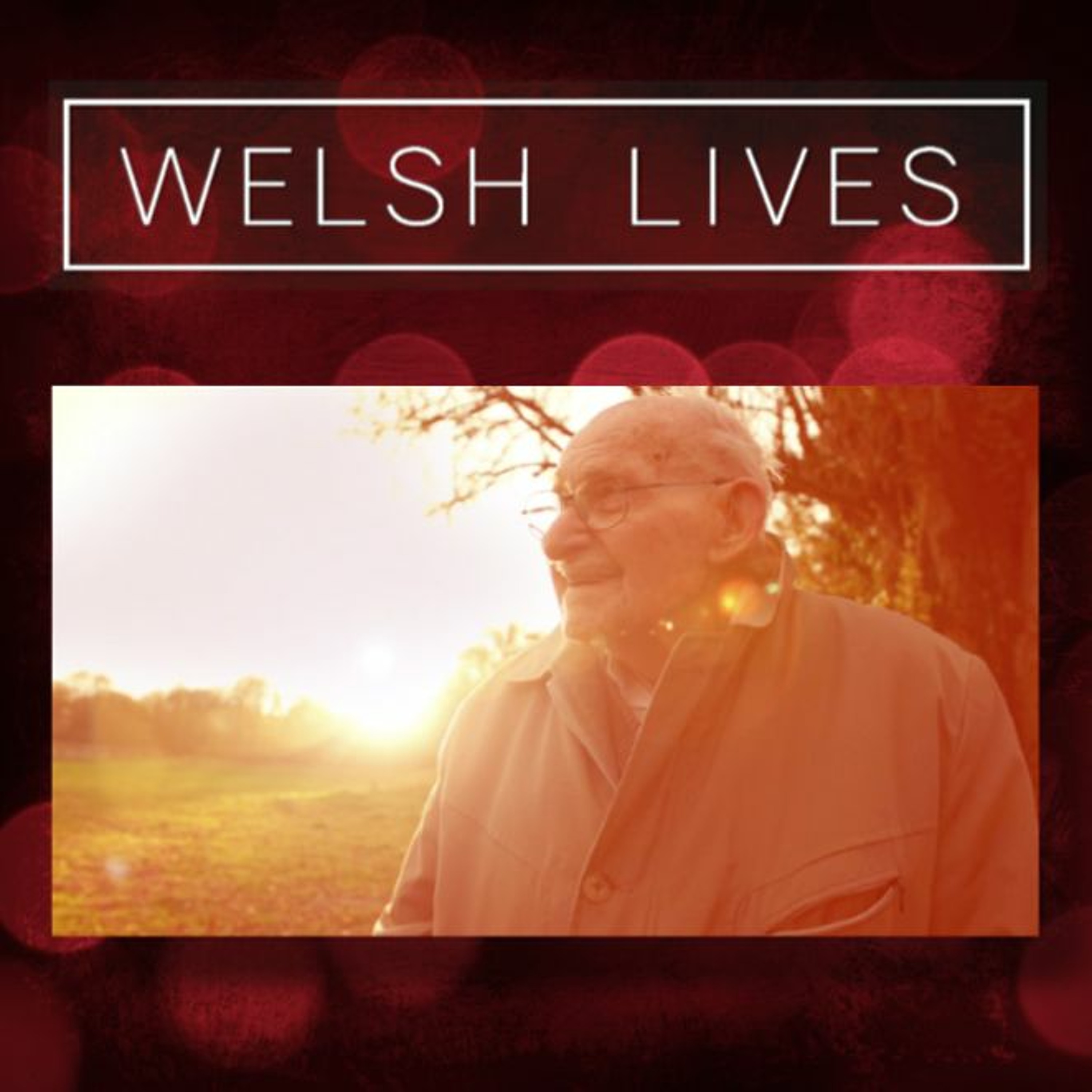 The 101-year-old Auschwitz survivor who became Wales' oldest poppy seller episode artwork
