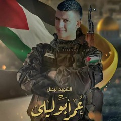 قصيدة لروح الشهيد عمر ابو ليلي