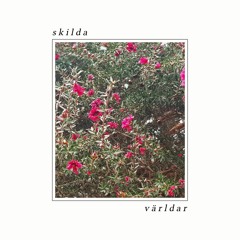 Skilda Världar - Inre Bilder (Anton Englund Rmxxx)
